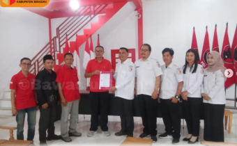 DPC PDIP